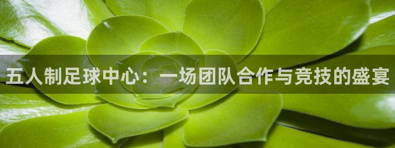 五人制足球中心：一场团队合作与竞技的盛宴