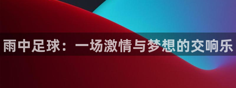 雨中足球：一场激情与梦想的交响乐