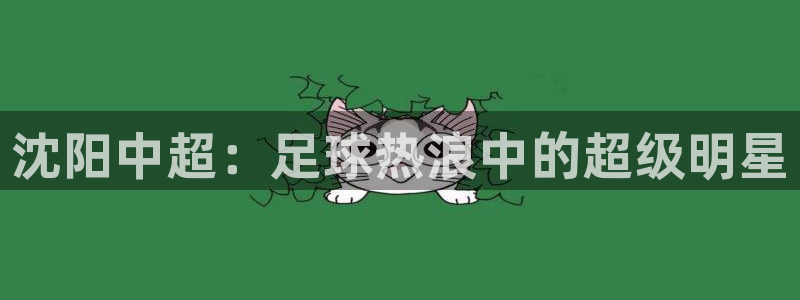  沈阳中超：足球热浪中的超级明星