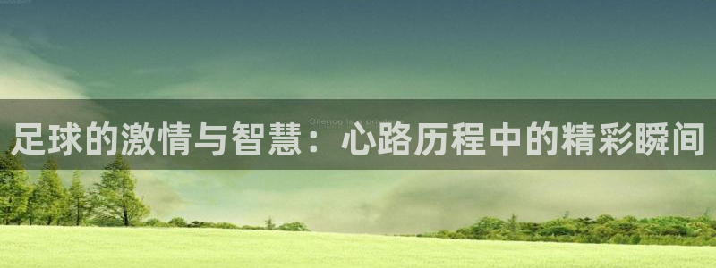  足球的激情与智慧：心路历程中的精彩瞬间