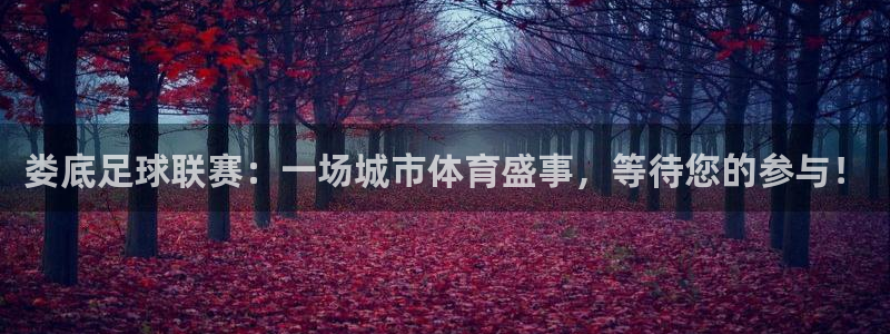  娄底足球联赛：一场城市体育盛事，等待您的参与！