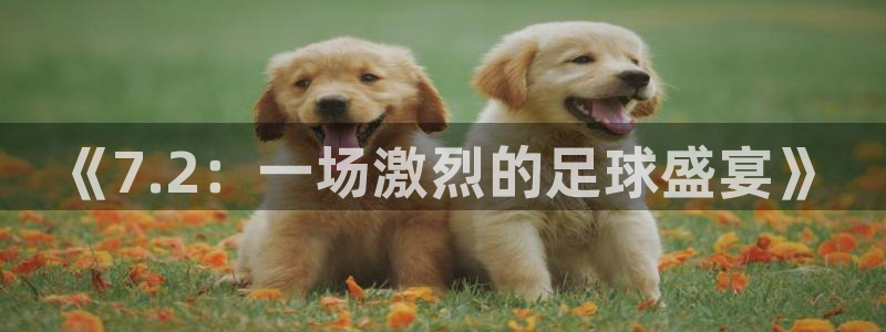  《7.2：一场激烈的足球盛宴》