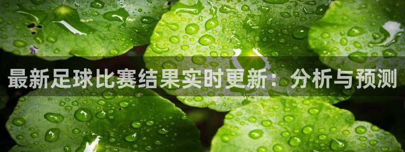 最新足球比赛结果实时更新：分析与预测