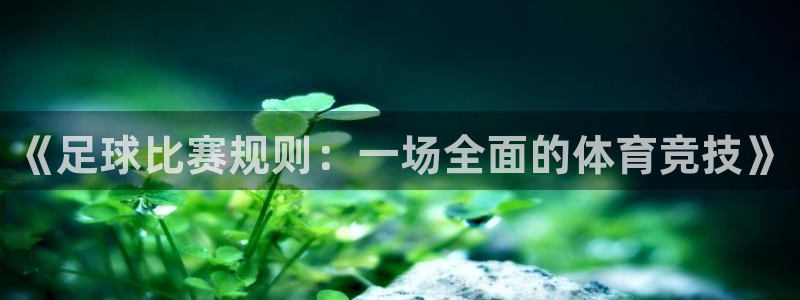 《足球比赛规则：一场全面的体育竞技》