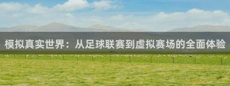 模拟真实世界：从足球联赛到虚拟赛场的全面体验
