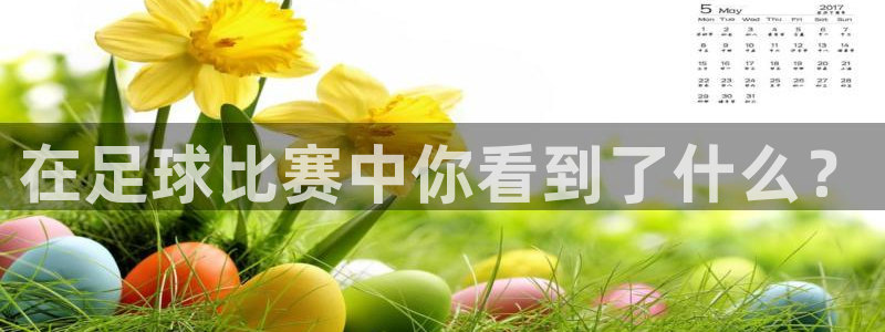  在足球比赛中你看到了什么？