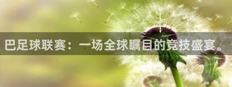  巴足球联赛：一场全球瞩目的竞技盛宴。