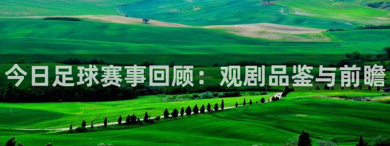 今日足球赛事回顾：观剧品鉴与前瞻