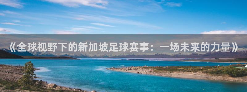 《全球视野下的新加坡足球赛事：一场未来的力量》