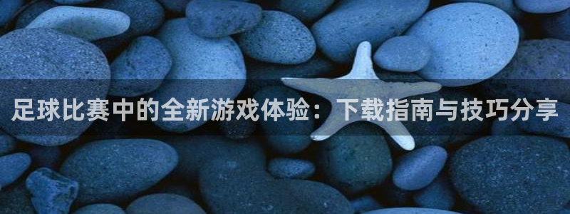 足球比赛中的全新游戏体验：下载指南与技巧分享