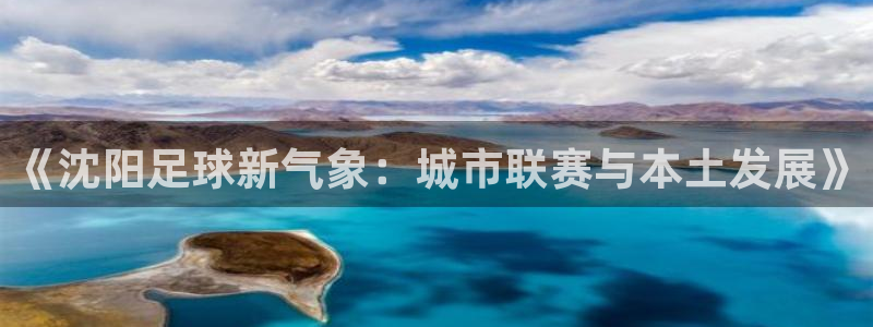  《沈阳足球新气象：城市联赛与本土发展》