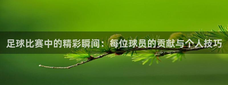  足球比赛中的精彩瞬间：每位球员的贡献与个人技巧