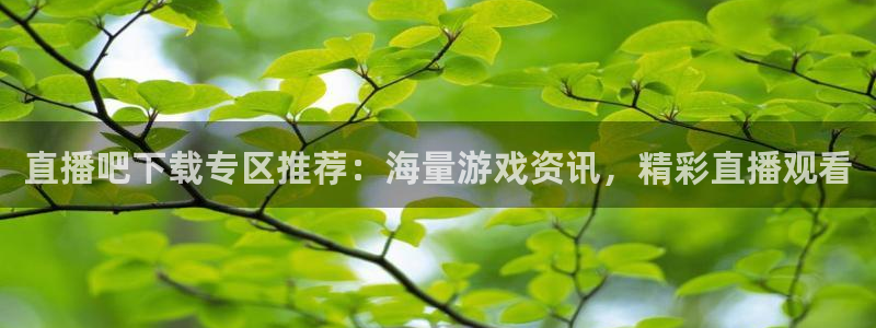 球神直播网免费直播在线观看