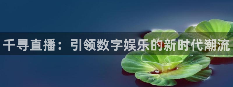 球神直播体育免费观看