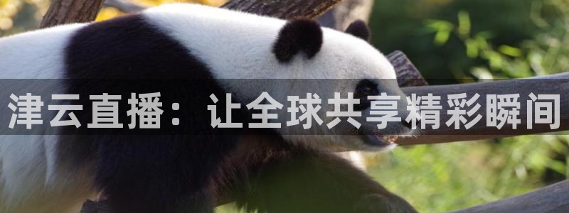 足球球神直播在线观看：津云直播：让全球共享精彩瞬间