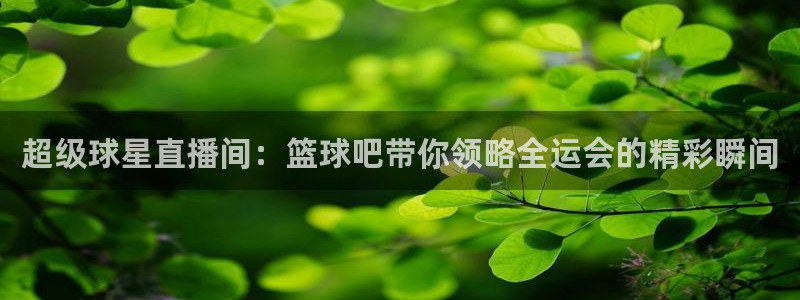 球神体育直播官网