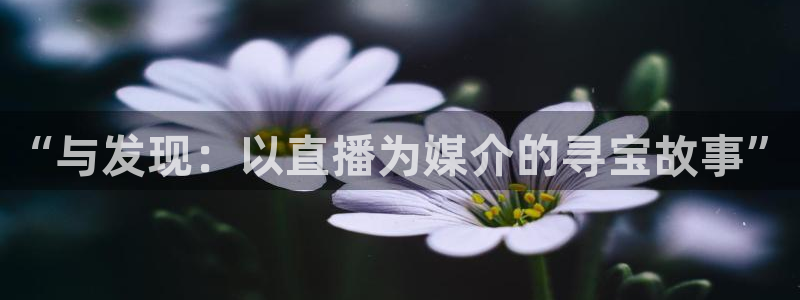 球神在线直播：“与发现：以直播为媒介的寻宝故事”