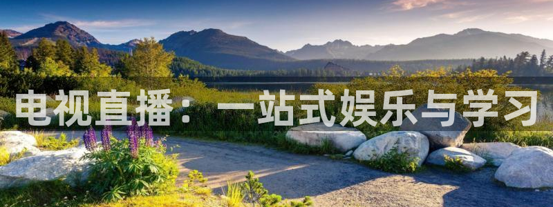 球神直播间：电视直播：一站式娱乐与学习