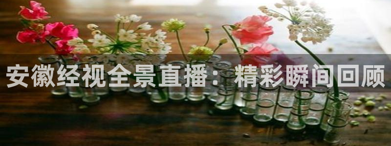 球神直播nba在线直播免费观看：安徽经视全景直播：精彩瞬间回顾