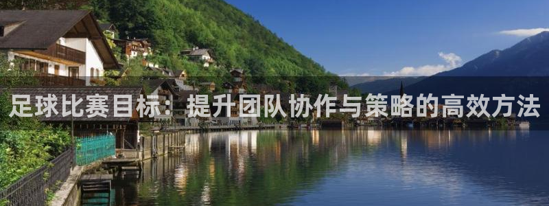 足球比赛目标：提升团队协作与策略的高