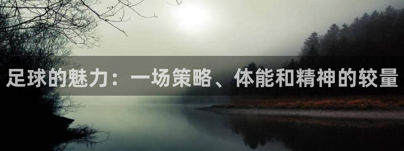 足球的魅力：一场策略、体能和精神的较