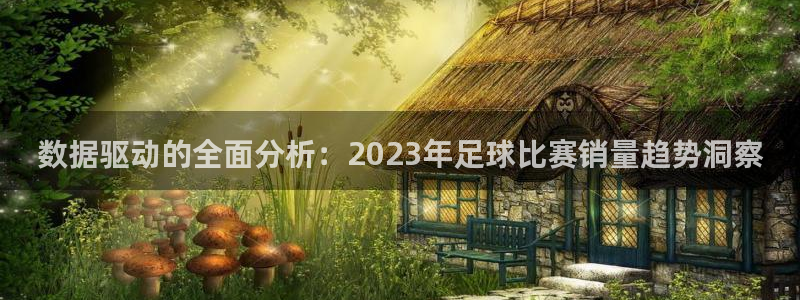 数据驱动的全面分析：2023年足球比