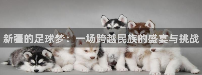 新疆的足球梦：一场跨越民族的盛宴与挑