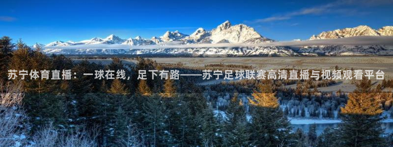 苏宁体育直播：一球在线，足下有路——