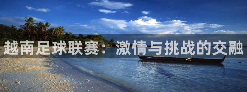 越南足球联赛：激情与挑战的交融