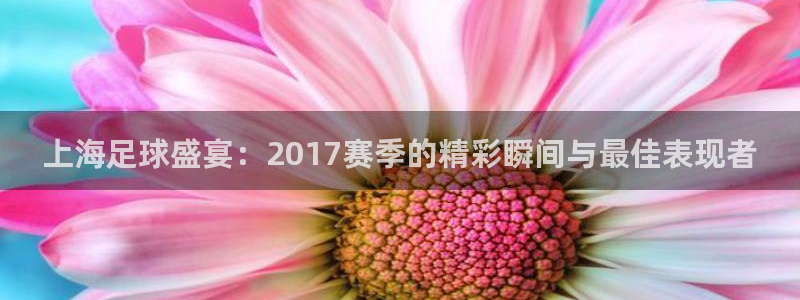 上海足球盛宴：2017赛季的精彩瞬间