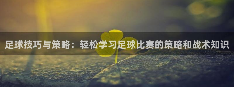 足球技巧与策略：轻松学习足球比赛的策