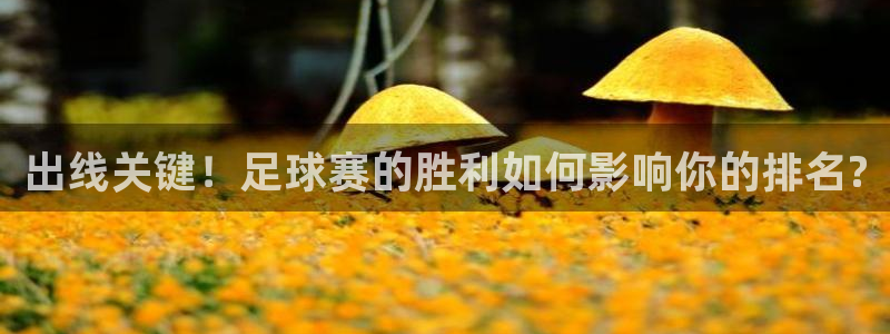 出线关键！足球赛的胜利如何影响你的排