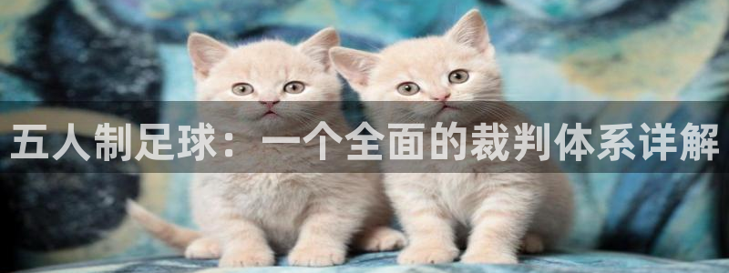五人制足球：一个全面的裁判体系详解
