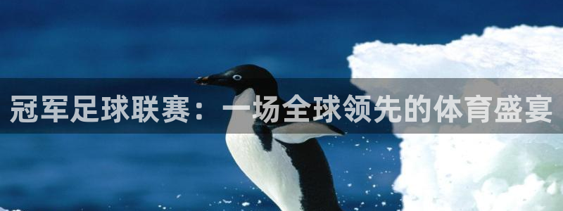 冠军足球联赛：一场全球领先的体育盛宴