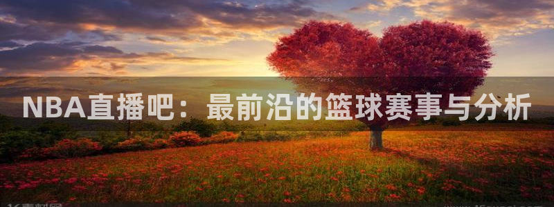 球神直播体育在线观看网址