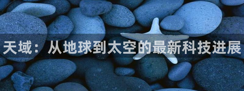 球神足球直播在线观看