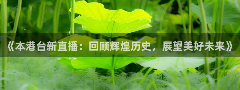 球神nba直播：《本港台新直播：回顾辉煌历史，展望美好未来》