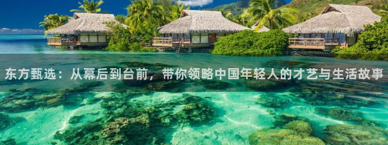 球神足球直播在线观看