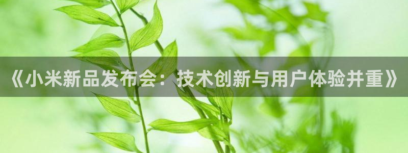 球神直播nba在线直播免费观看：《小米新品发布会：技术创新与用户体验并重》